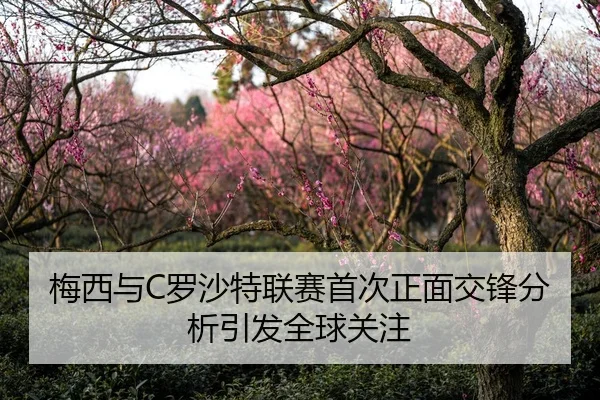 梅西与C罗沙特联赛首次正面交锋分析引发全球关注
